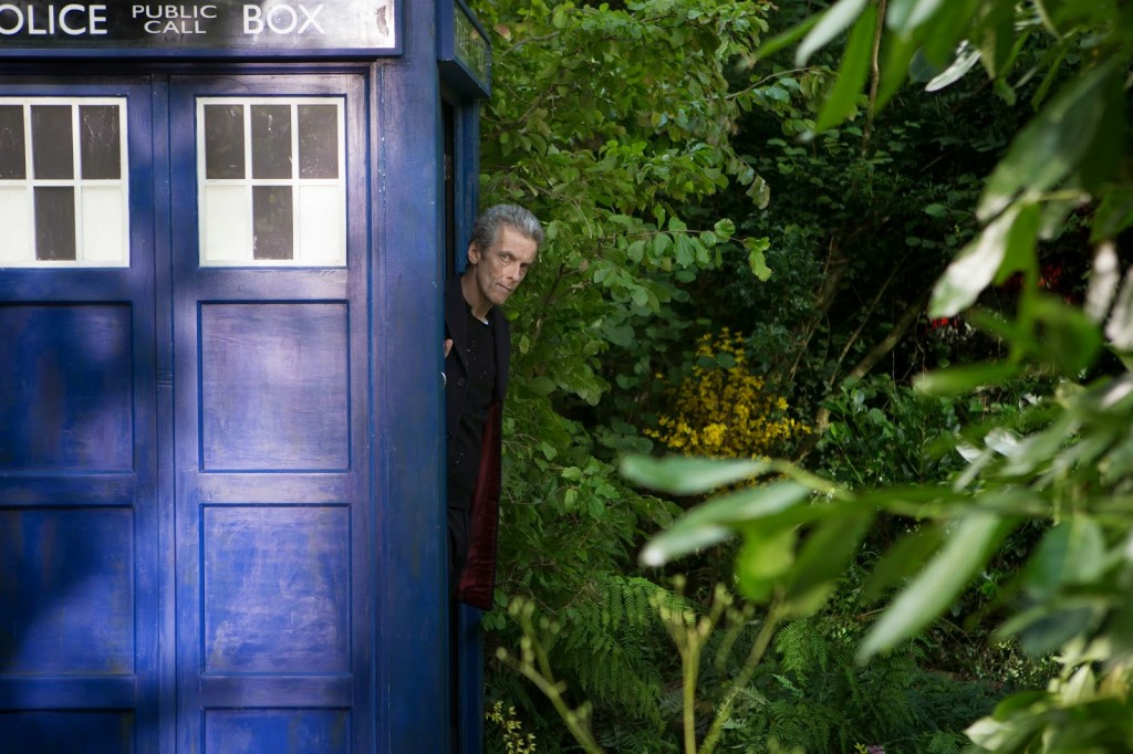 Doctor Who - forest night 2